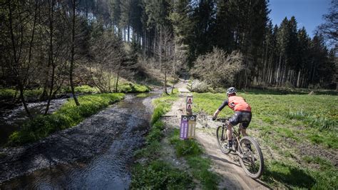 houffalize mountainbike|The most beautiful MTB Trails in Houffalize